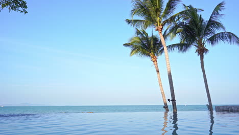 Ocean-view-from-an-infinity-pool-at-a-tropical-resort-with-palm-trees