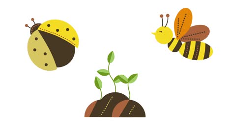 4k video de dibujos animados de primavera conjunto de criaturas de insectos y planta verde sobre fondo blanco.