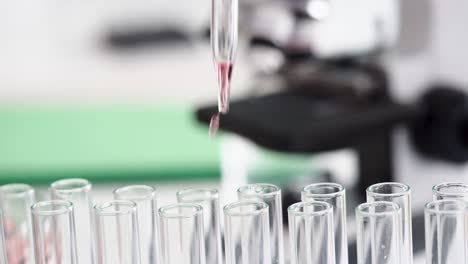 scientific experiment with test tubes and pipette in a laboratory