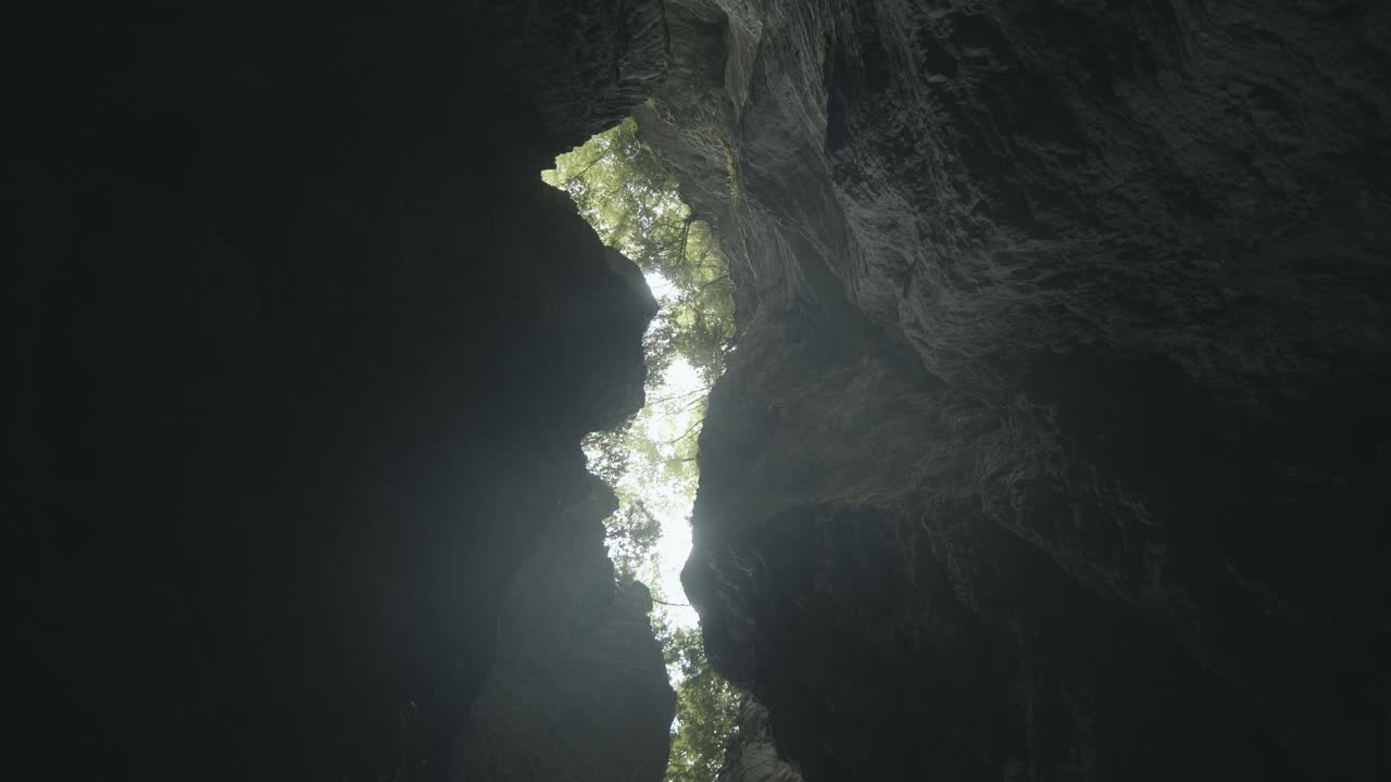 la luz del sol brilla a través de rocas profundas del cañón, árboles verdes en el fondo
