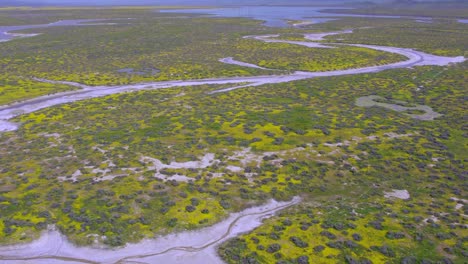 aerial orbit ascending shot of carrizo plain in california during the wildflower superbloom