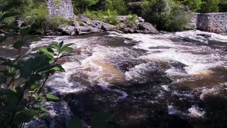 Toma-De-Establecimiento-De-Las-Cataratas-Del-Río-Real-Acercándose-A-La-Desembocadura-Del-Río-Con-Aguas-Bravas-Y-árboles