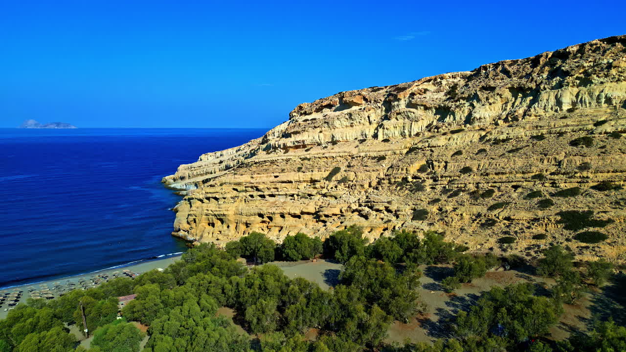 Trees by the cliffs near a calm blue sea under clear skies, aerial view