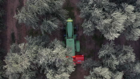 aerial view of a tractor working in an olive grove