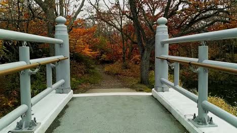 walking over a white bridge entering a beatiful autumnal forest