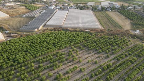 Aerial-View-Of-Shuva-Village-Fruits-Fields-At-Southern-District-Sdot-Negev,-Israel