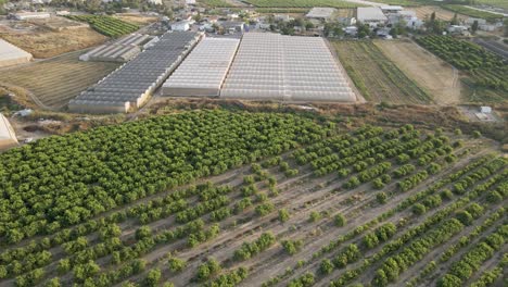 Vista-Aérea-De-Los-Campos-De-Frutas-De-La-Aldea-De-Shuva-En-El-Distrito-Sur-De-Sdot-Negev,-Israel