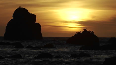 Las-Gaviotas-Se-Posan-Sobre-Una-Roca-Al-Atardecer-A-Lo-Largo-De-La-Costa-De-Oregón-2