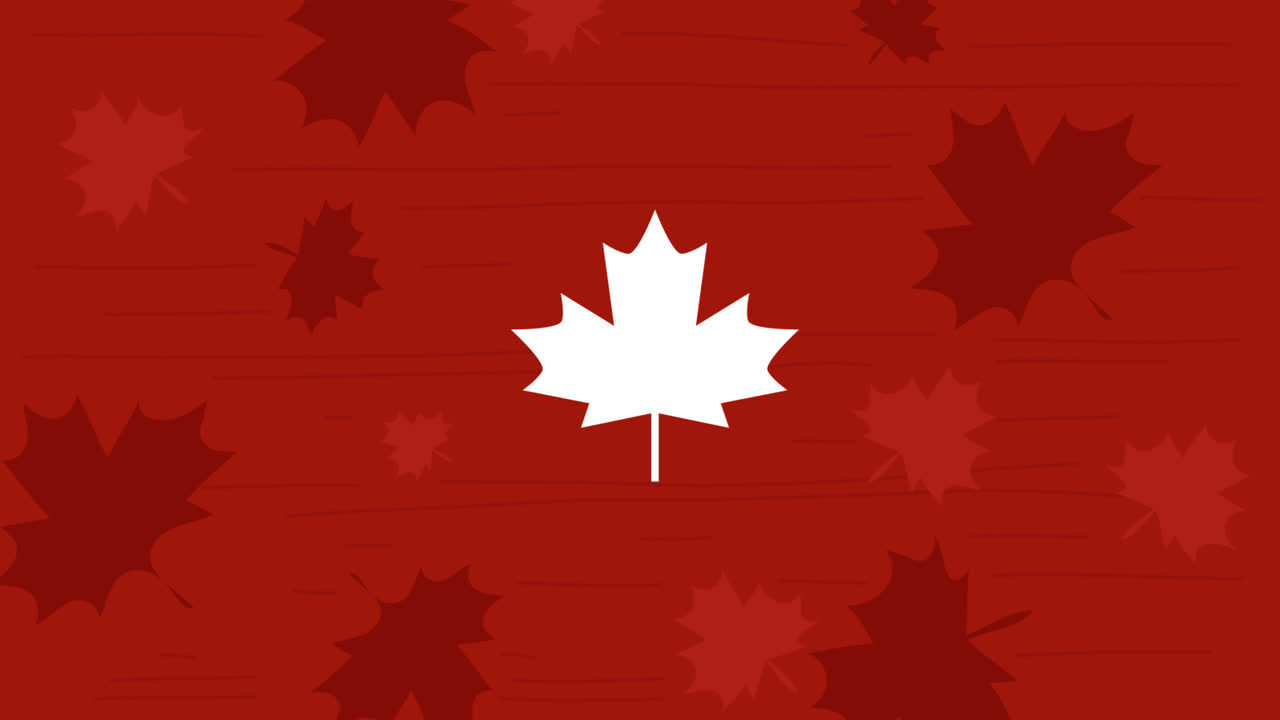 Motion Graphic of Canada day lettering concept