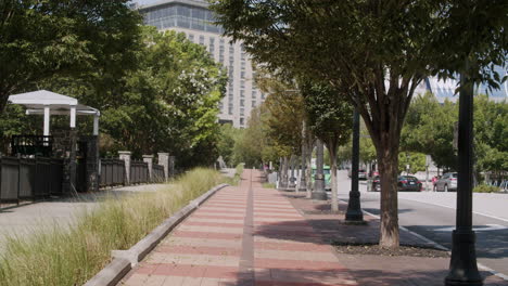 urban park with city views