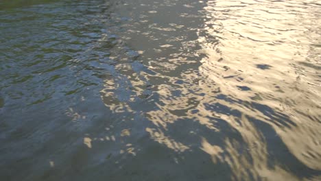 the water swirling on the surface of a swimming pool