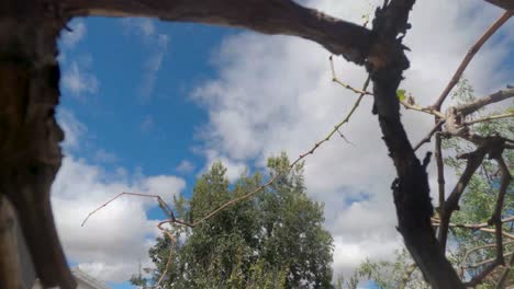 lapso de tiempo de un día ventoso con nubes en movimiento rápido