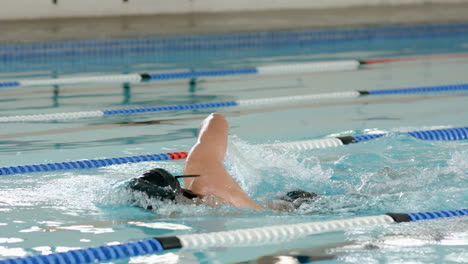 swimming in pool, male athlete practicing freestyle stroke in swimming lanes