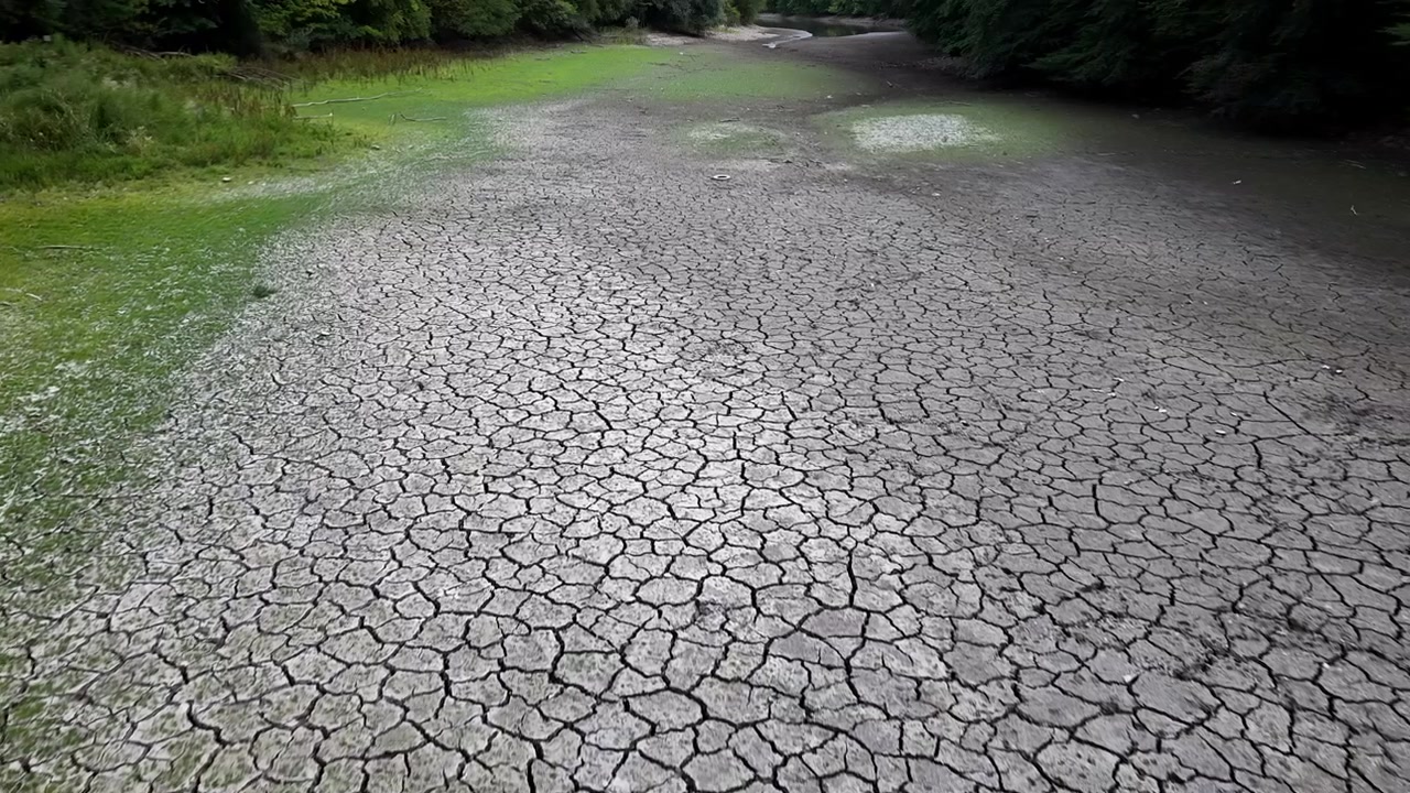 Terra profondamente crepata copre un letto di fiume prosciugato circondato da alberi, illustrando gravi condizioni di siccità e l'impatto locale del cambiamento climatico.