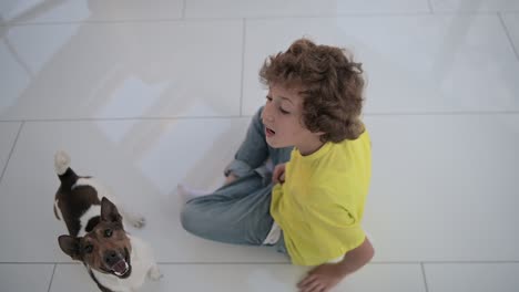 top view of a blond boy with curly hair sitting on the floor playing with his dog and a ball