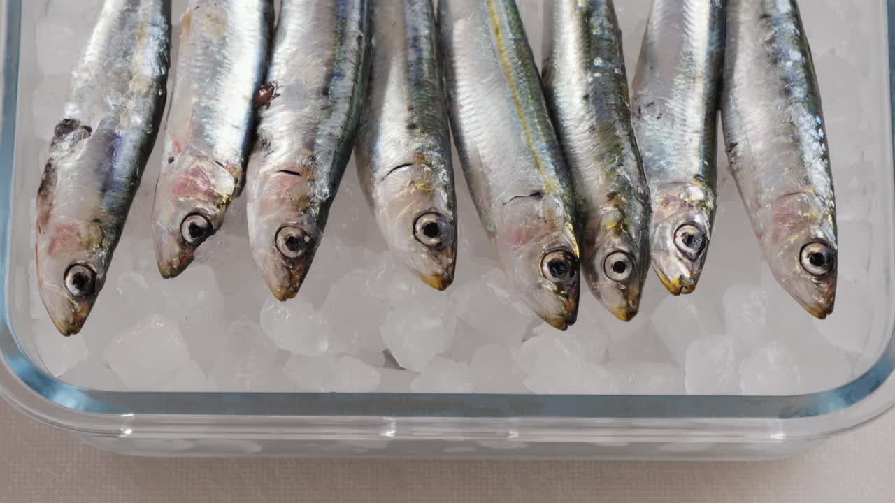 anchoas frescas en hielo