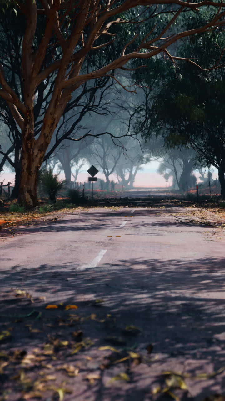 misterioso camino de niebla a través de los árboles