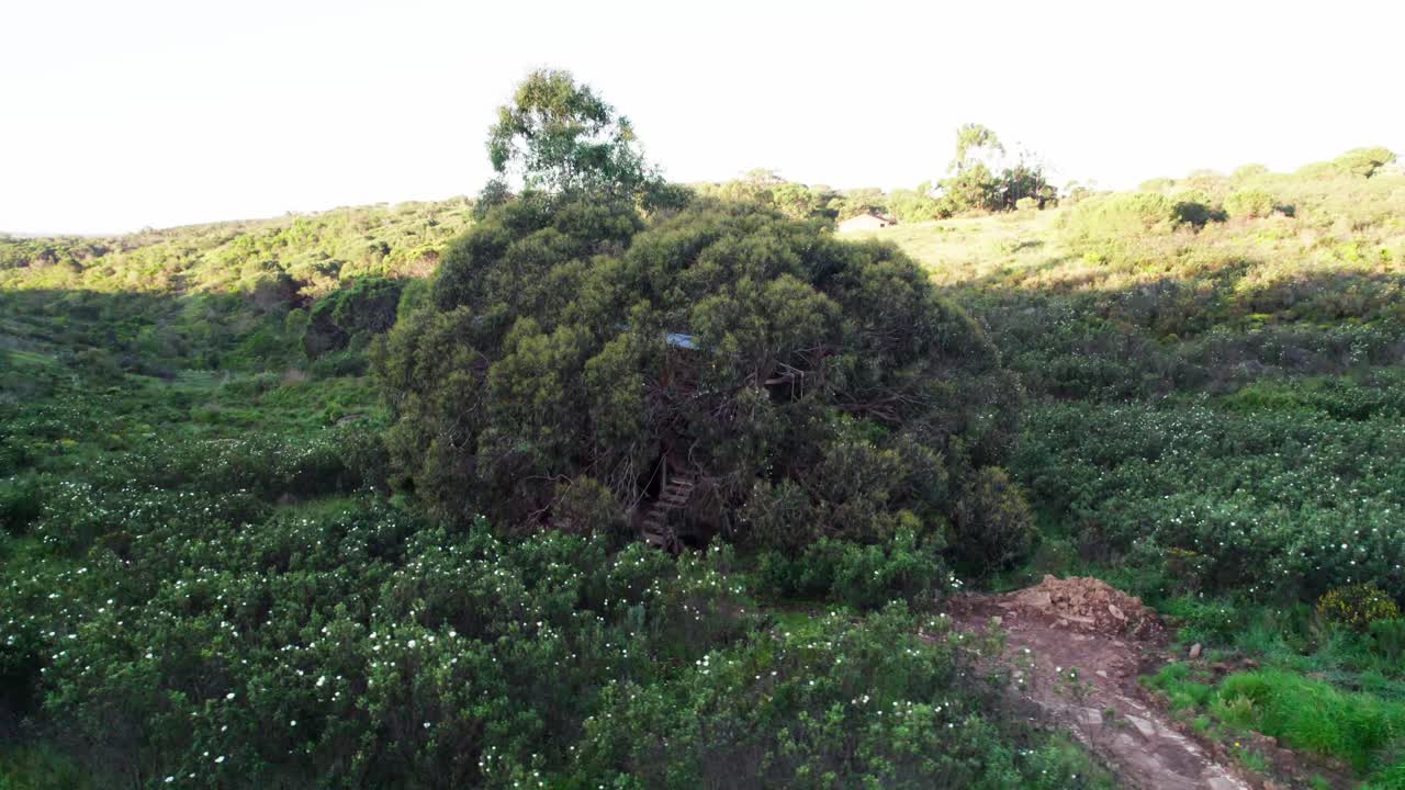Tree House In Portuguese Countryside - Drone Shot