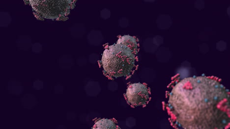 SARS-CoV-2-COVID-19-Virus-Gently-Spinning-and-Floating-with-Purple-Background-Under-Microscope---3D-Animation