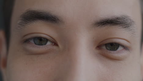 close-up of asian person's eyes