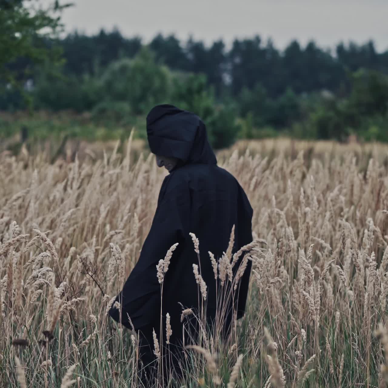 Mysterious Hooded Figure Walking Through a Field