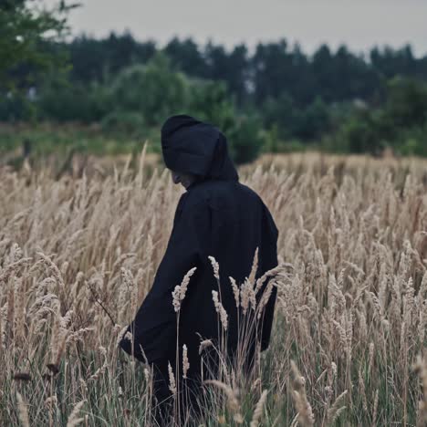 mysterious hooded figure walking through a field
