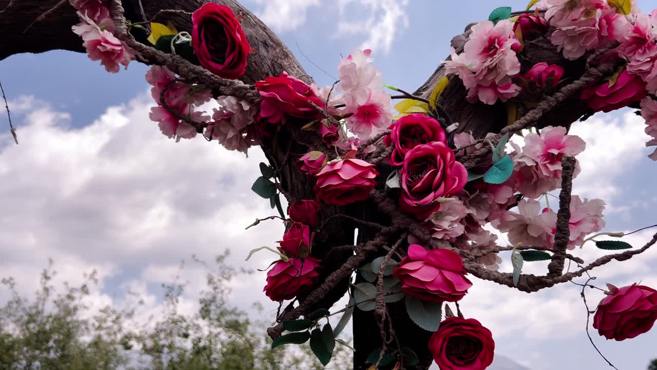 Vibrant red and pink roses hanging on a tree trunk, against a stunning backdrop of a blue sky with scattered clouds.
