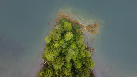 The-ocean-meeting-the-forest-on-the-shores-of-British-Columbia-Canada,-blue-waters-and-green-trees-contrast