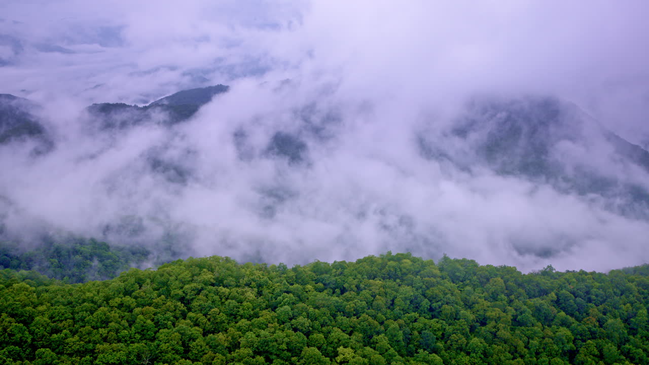 Drone glides over the surreal haze of the Great Smokies