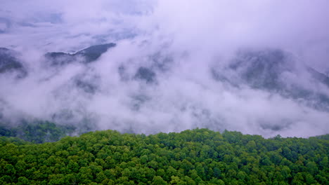 drone glides over the surreal haze of the great smokies