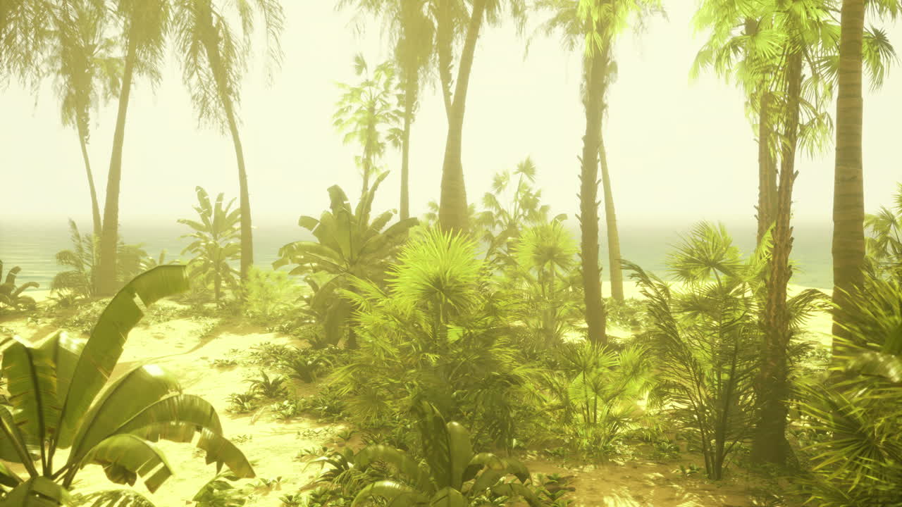 Lush tropical landscape with palm trees and ocean view during daytime