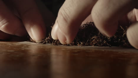 manos preparando tabaco para cigarrillos enrollados en casa, cerrar