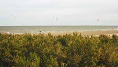 aerial circling above empty beach and kitesurfers having fun at porto barricata in italy