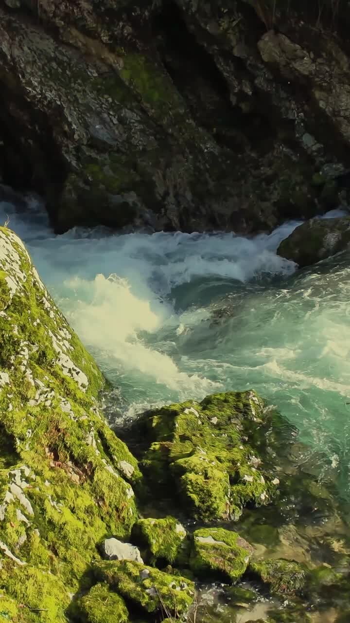 Slovenia: Splendida vista di un fiume selvaggio e turchese in una gola di montagna con rocce ricoperte di muschio in una giornata di sole