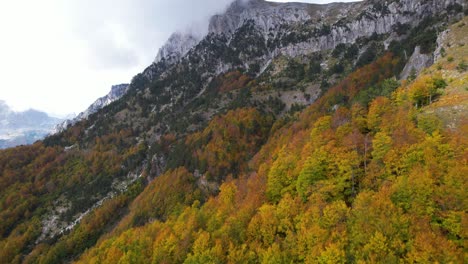 Golden-trees-and-rocks-on-slope-of-mountain,-beautiful-Autumn-landscape-in-a-cloudy-day