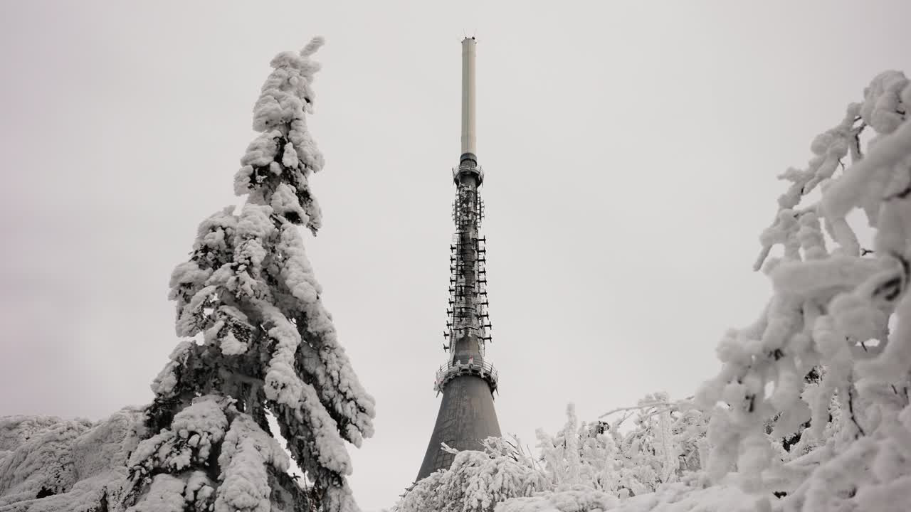 Low angle view of television transmitter tower spire through snowy forest
