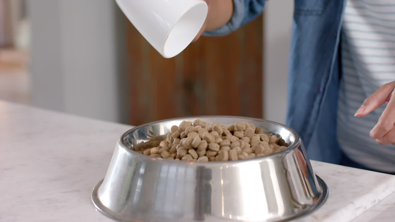 sección media de una mujer biracial preparando comida para perros en casa, en cámara lenta