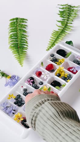 cubos de hielo de frutas y flores congelados