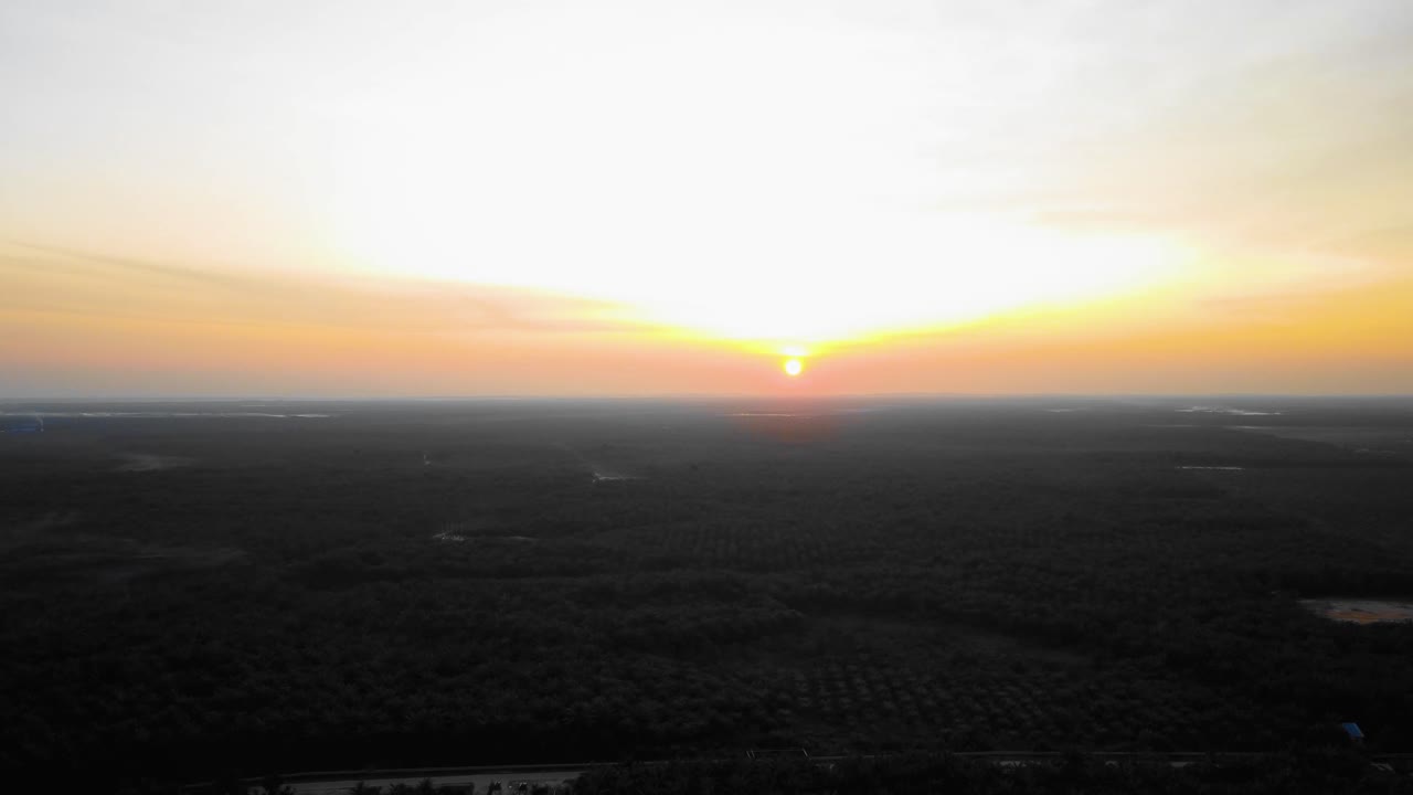 imágenes cinematográficas de drones de la plantación de palma aceitera en riau, indonesia, ya que el país es el mayor productor y consumidor del producto básico del mundo, y proporciona aproximadamente la mitad del suministro mundial