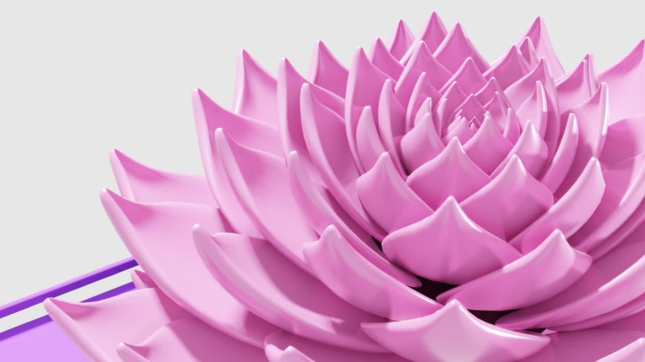 una animación de arte digital de una flor de loto rosa que se abre en un bucle de renderización 3d