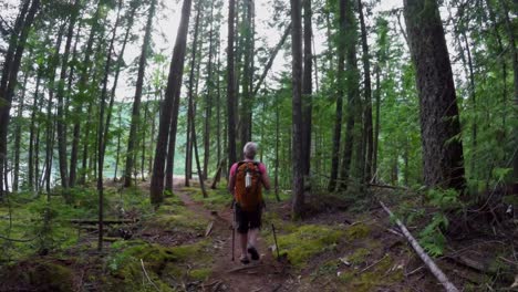 Mature-woman-walking-through-the-forest-4k