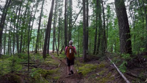 mature woman walking through the forest 4k