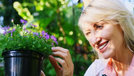 Mature-woman-checking-plant