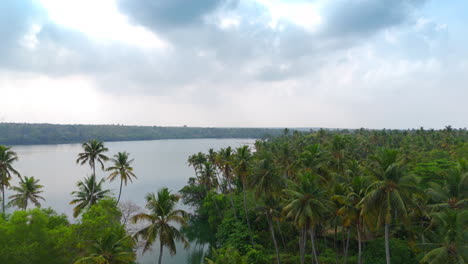 morning lakeshores with coconut trees