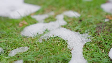 macro shot of melting snow particles with green grass and leaves