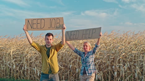 couple seeking employment in a cornfield