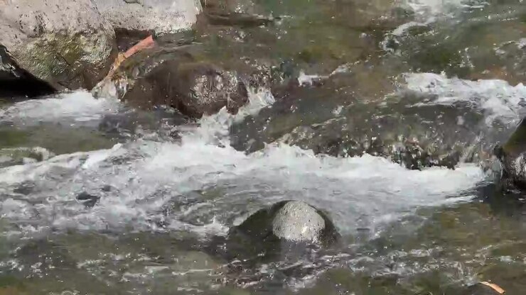 Acqua limpida che scorre sulle rocce in un ruscello di montagna