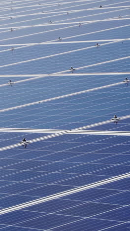 horizontal solar panel modules for alternative energy production. solar power station. vertical video