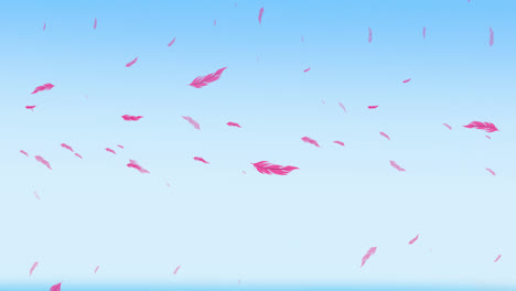 animación de plumas de pájaros rosas cayendo sobre el cielo azul