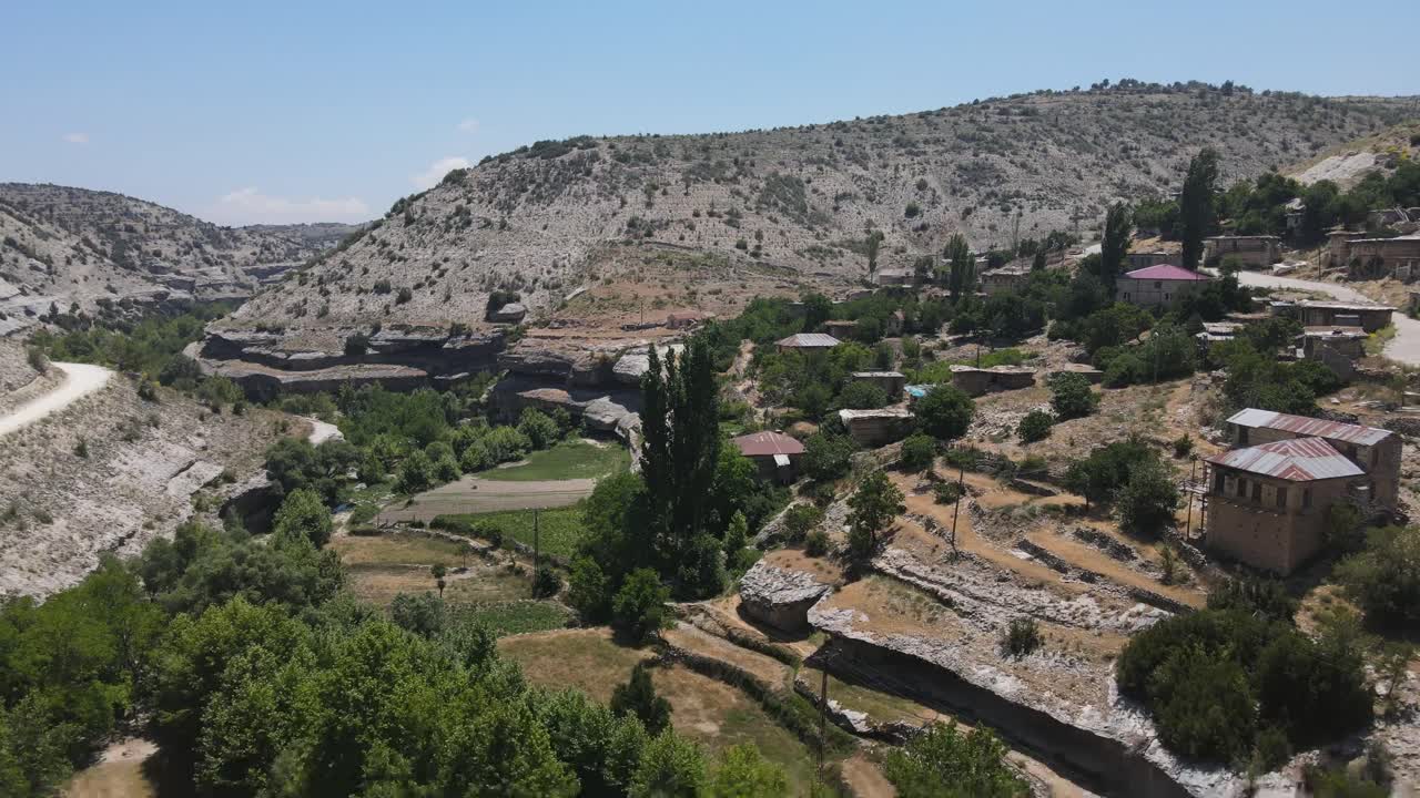 Vista Drone di Alberi in Valle di Villaggio